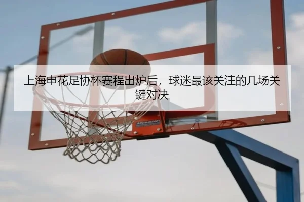 上海申花足协杯赛程出炉后，球迷最该关注的几场关键对决